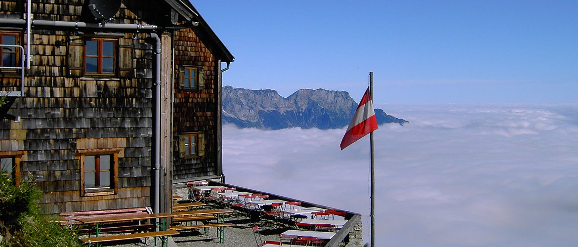 05.jpg